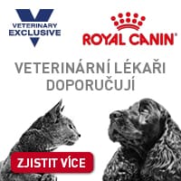Veterinární lékaři doporučují RoyalCanin